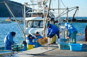 桃浦かき生産者合同会社が水産特区として正式にスタート。