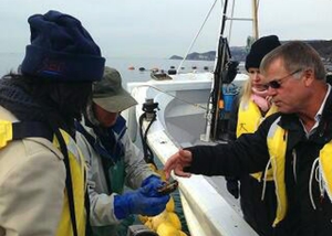 桃浦でオーストラリア大使館と懇談