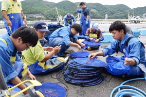 宮城水産高校生5人が桃浦かきの就業体験に来社