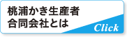 桃浦かき生産者合同会社とは